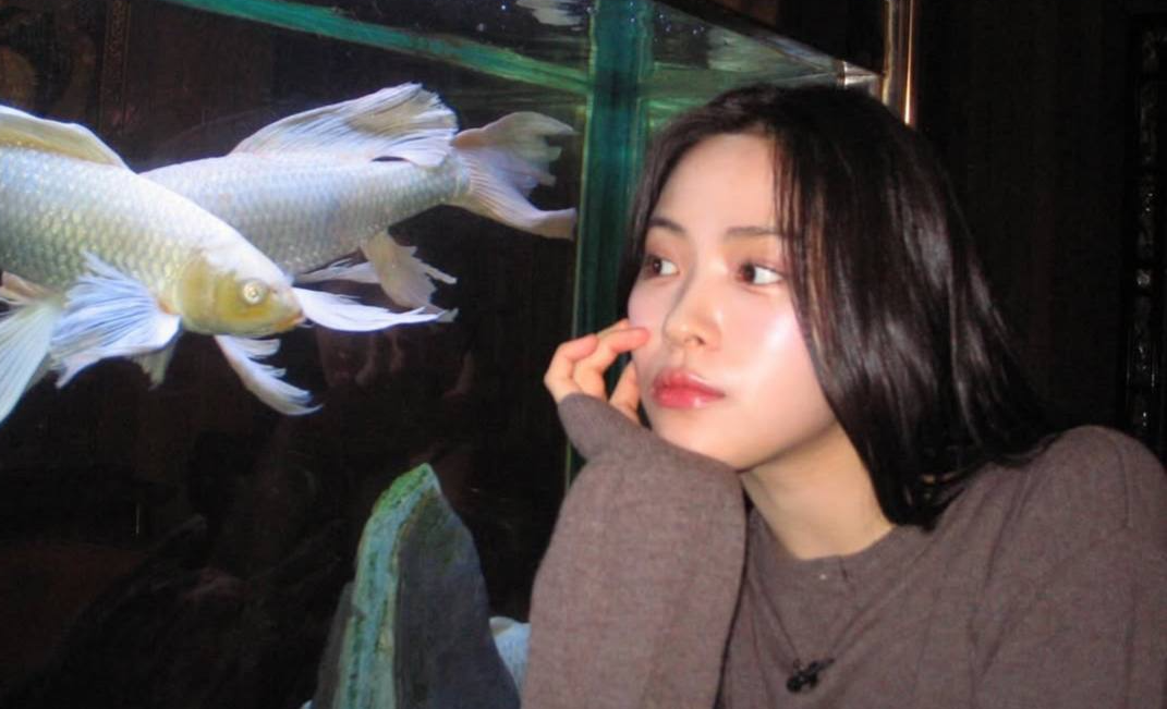 ryujin aquarium